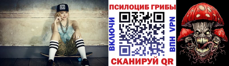 купить   Тюмень  Галлюциногенные грибы GOLDEN TEACHER 